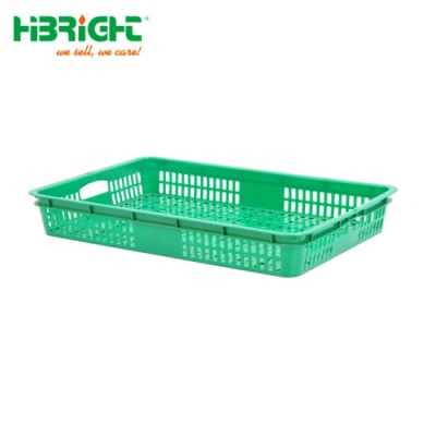 Unfoldable Colorful Fruit & Vegetable Trays